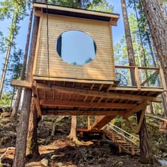 Pine Perch