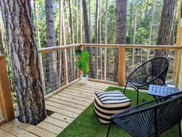 Pine Perch - Image 5
