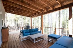 Shady Pine - Image 2