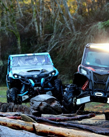 Two all-terrain vehicles parked on a forest trail surrounded by fallen logs and evergreen trees.