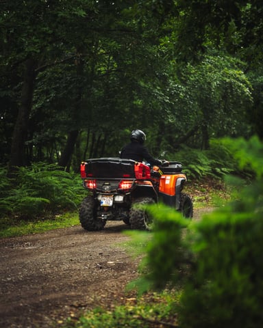Side-by-side UTV on a mossy forest trail on Texada Island