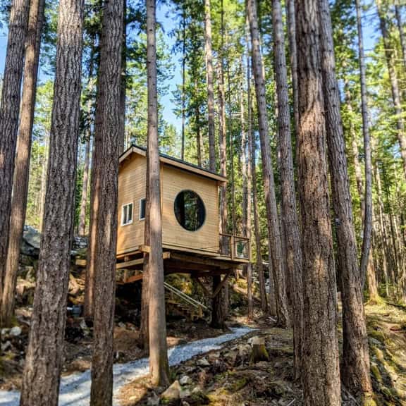 Pine Perch - Image 1