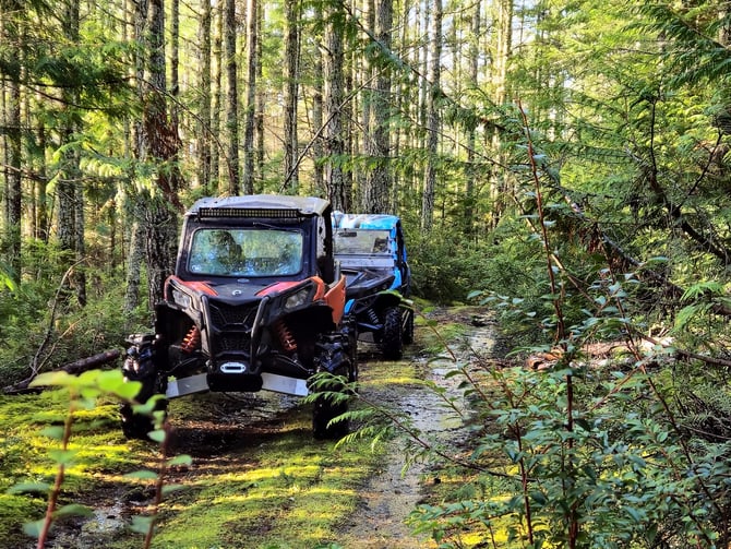 Two off-road vehicles parked on a forest trail surrounded by tall trees and moss-covered ground