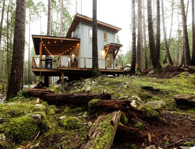 Modern cabin with metal siding and wooden decks nestled among tall pine trees, surrounded by moss-covered logs and forest floor.