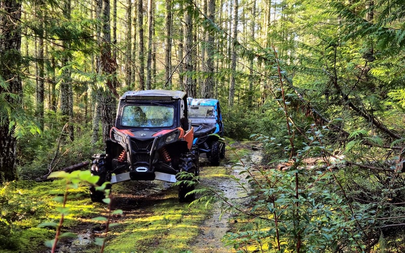 Two off-road vehicles parked on a forest trail surrounded by tall trees and moss-covered ground.
