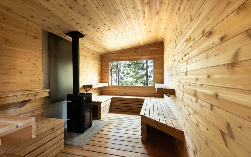 Modern sauna interior with light wood walls, wooden benches, black wood stove, and forest view through window